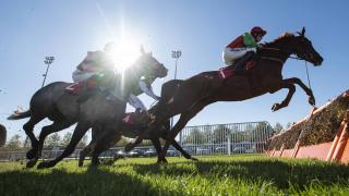 Horse racing jumps action